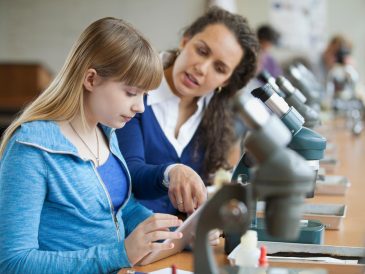 Scuole private a Porto Viro